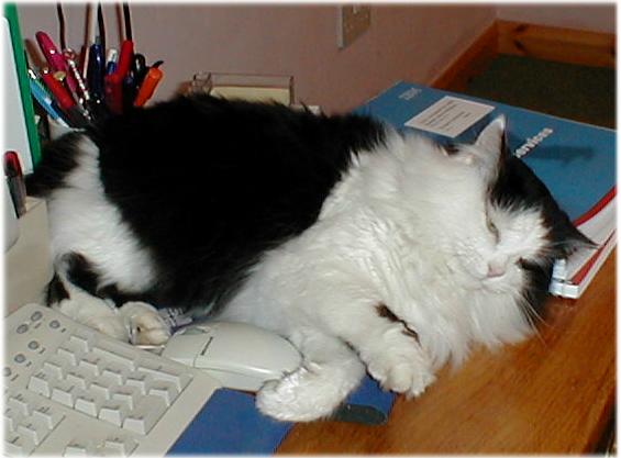 advocate's user image