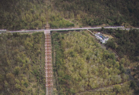 vnpandey's user image