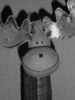 matthewb's user image