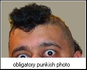 punkish's user image