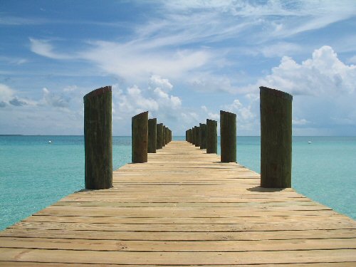 Realbot's user image