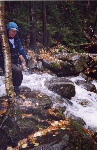 cbrandtbuffalo's user image