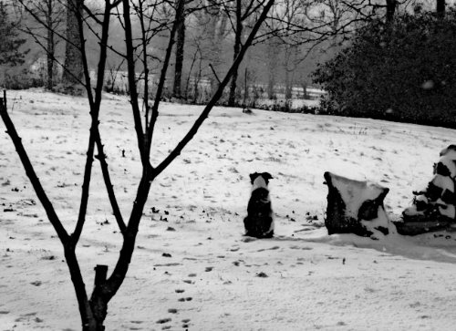 Camel_thirst's user image