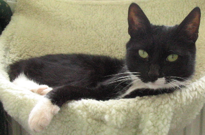 Aragorn's user image