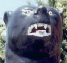 PerlBear's user image