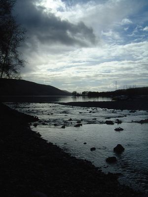 puploki's user image