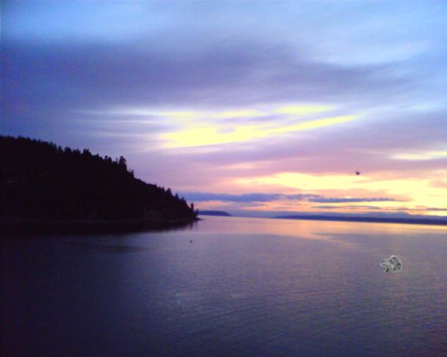 wazzuteke's user image