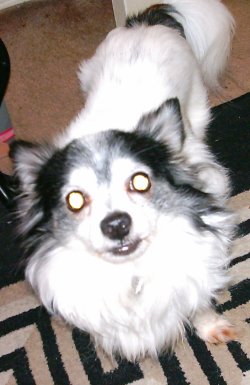 helphand's user image