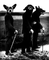 arkturuz's user image