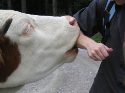 mantadin's user image