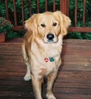 splinky's user image