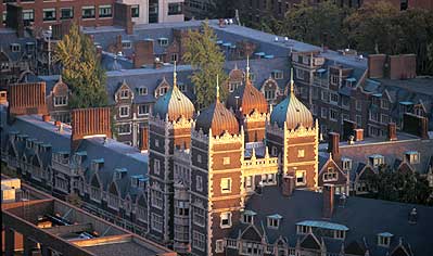 fenLisesi's user image