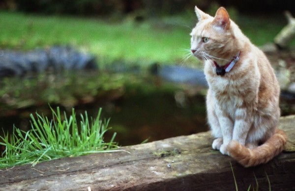 thevoid's user image