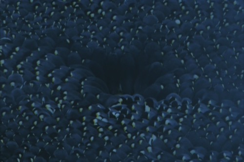 halfcountplus's user image