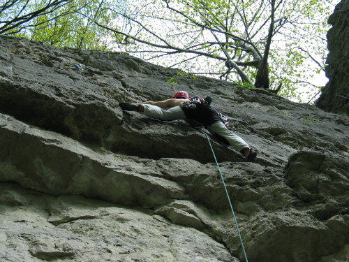 hexcoder's user image