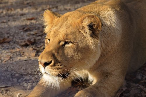 johndageek's user image