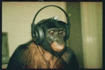 mikelieman's user image