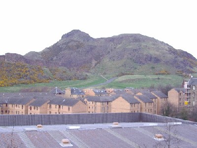 athanasia's user image