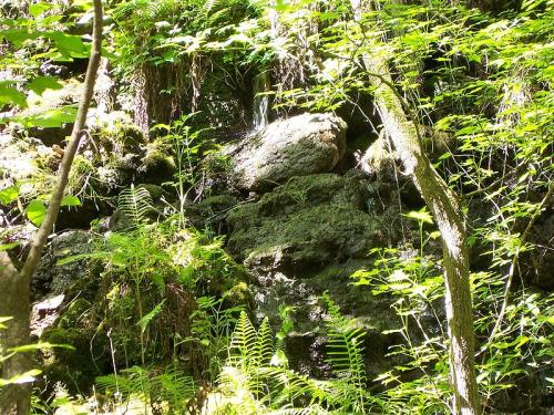 bellaire's user image