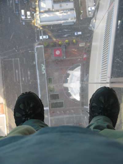 FalseVinylShrub's user image