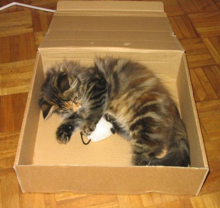 chrestomanci's user image