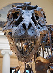 virtualsue's user image
