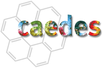 caedes's user image