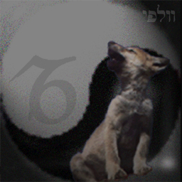 wolfi's user image