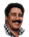 loop362's user image