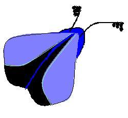doob's user image