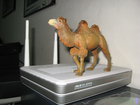 Burak's user image