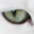 LesleyB's user image