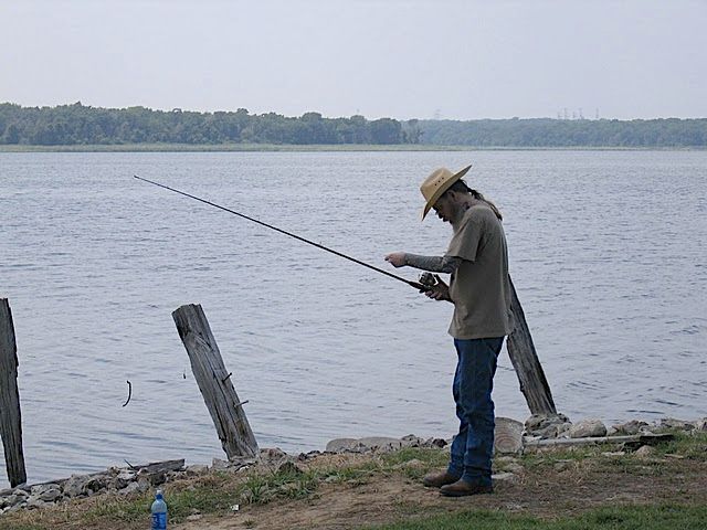 rowdog's user image