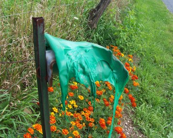 charnos's user image