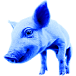 AltBlue's user image