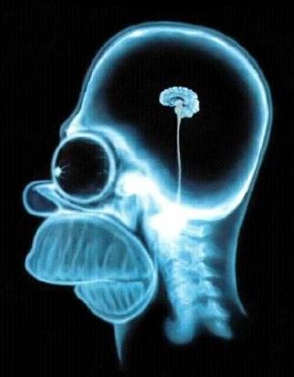 data67's user image