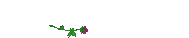 greatshots's user image