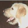 MAXOMENOS's user image