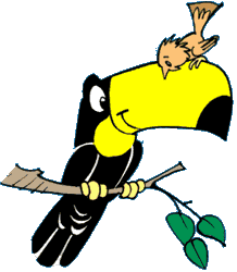 tucano's user image