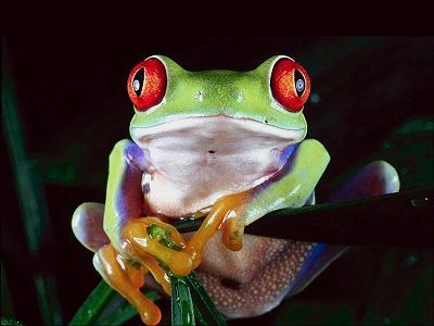 MonkPaul's user image