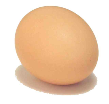 oeuftete's user image