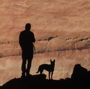 stylechief's user image