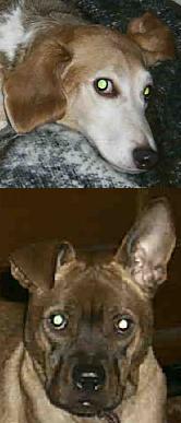 Azhrarn's user image