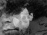 insaniac's user image