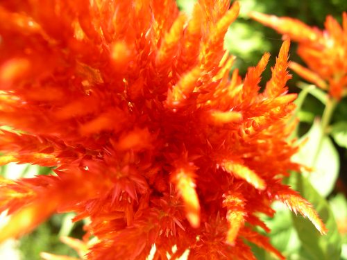 fmerges's user image