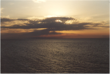 eosbuddy's user image